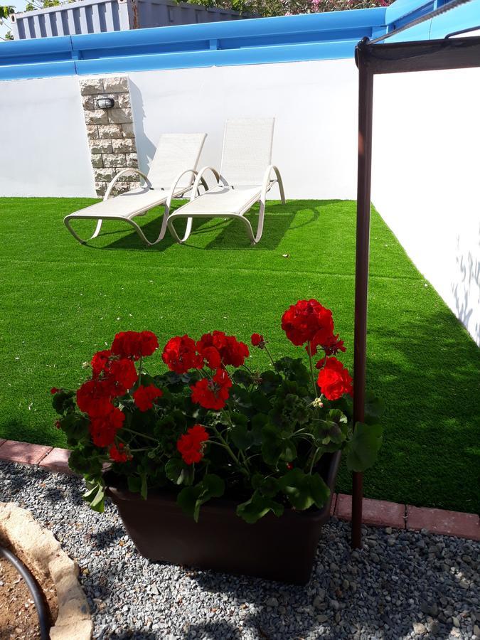 Kalli Villa Pomos Exteriér fotografie